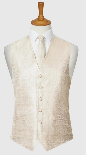 Bnwt mens champagne paisley - mens,